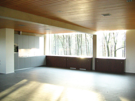 Juvenile_living_int_living_room_normal
