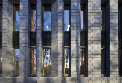 Juvenile_living_windows_large