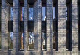 Juvenile_living_windows_normal