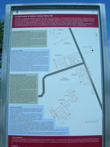 Dscn1536_large