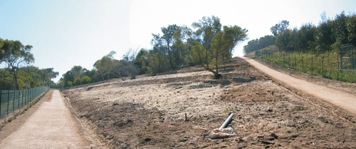 Casa_carlos_alemao_01_large