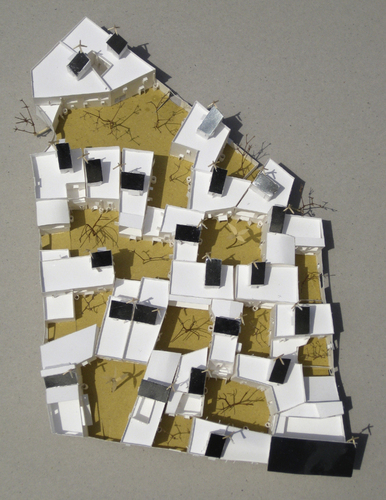 Tricase_p_large