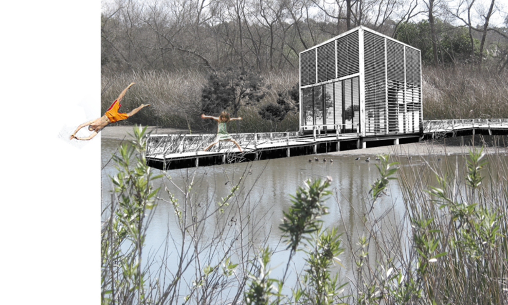 03_marshland