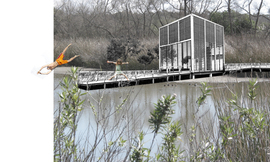 03_marshland_normal
