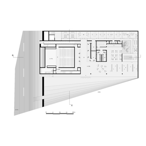 D1_large