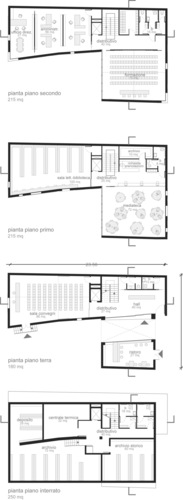 Piante_large