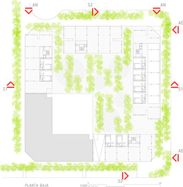 Planta-bala_normal