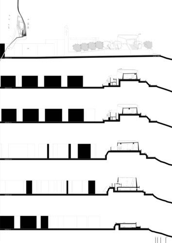Tav_13_large