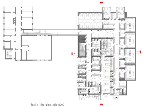 Level-plus-one_large