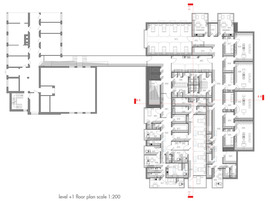 Level-plus-one_normal