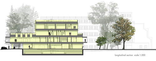 Longitudinal-section_large