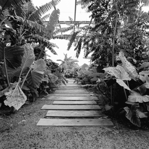 05_jardim_brasil_s_large