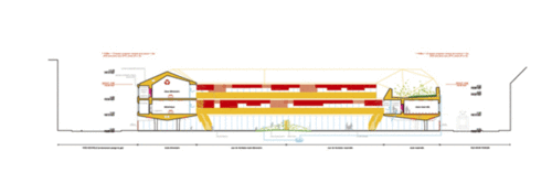 Section_1_large