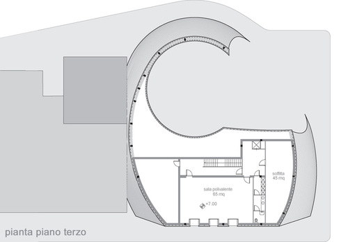 05_pianta_large
