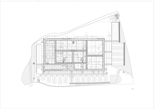 Planta-0_large