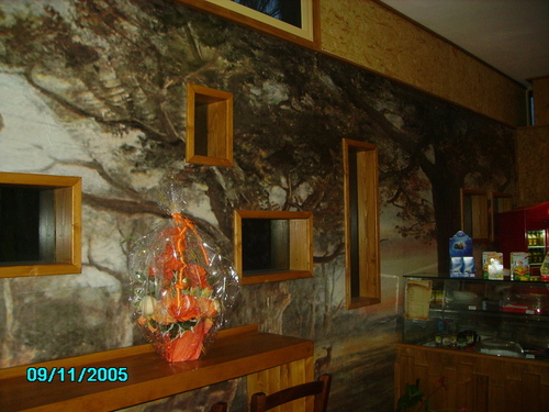 Pict0015_large