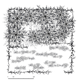 Atelierdelleverdure_pianta_normal