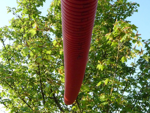 P1010657_large