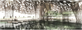 Beva_plantady_dubai_c_normal