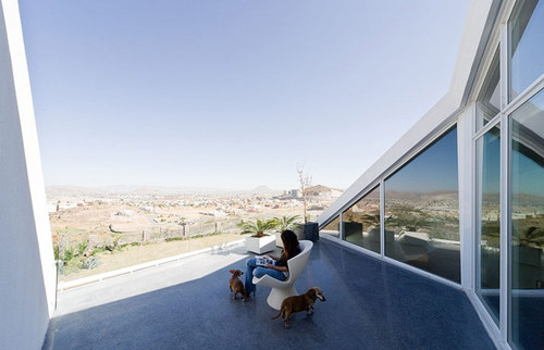 Casa-chihuahua-p-df-9926_large