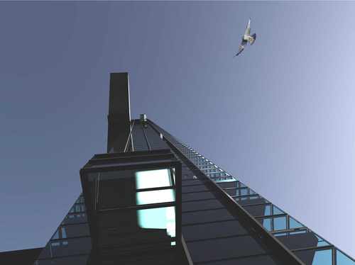 Fly_large