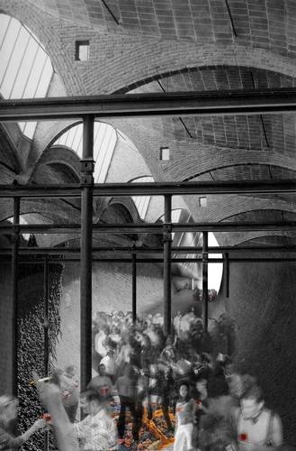 Image27