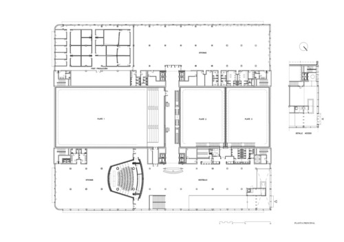 Ivc_planta_large