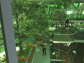 View_11_normal