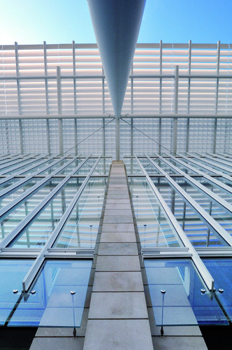 Chi__388_large