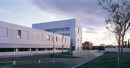 Ccg02_large
