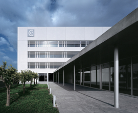 Ccg10_normal