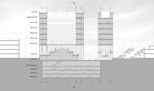 Longitudinal-section_large