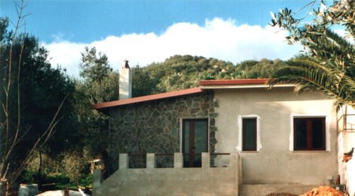 Imm_5_large