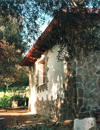 Imm_4_large