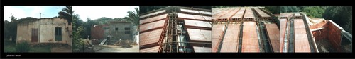 Imm_3_large