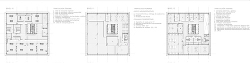 Plantas_10_11_12_large