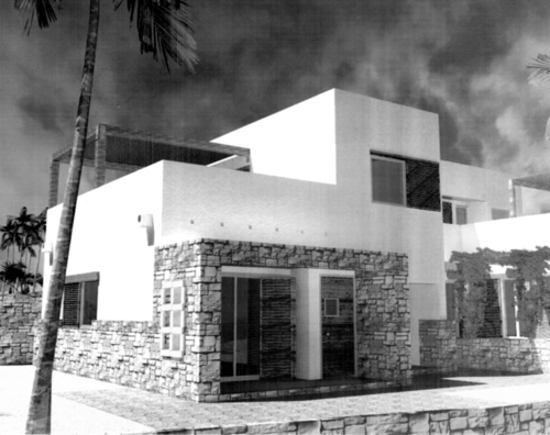 Img016_grayscale_large
