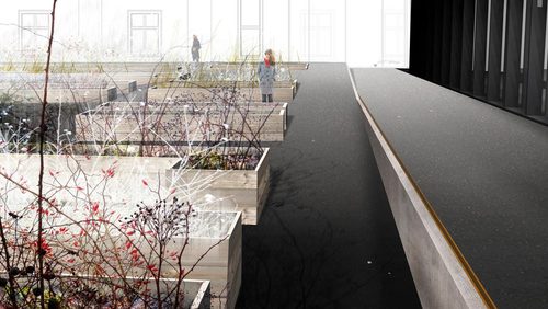 Bild-7-web_large