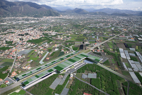 Striano_2009__10__large