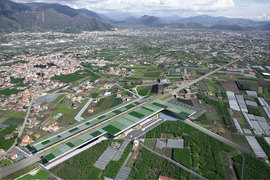 Striano_2009__10__normal