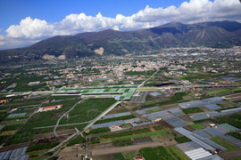 Striano_2009__11__normal