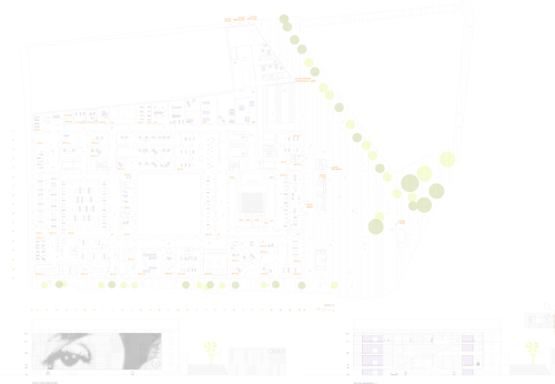 Ns_cnav_4_large