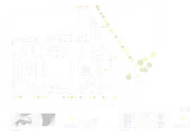 Ns_cnav_4_normal
