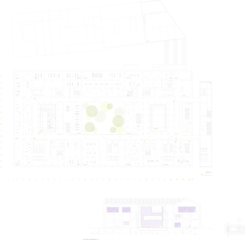 Ns_cnav_5_large