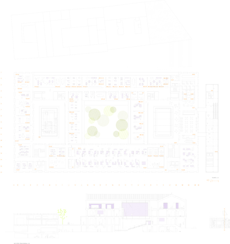 Ns_cnav_6_large