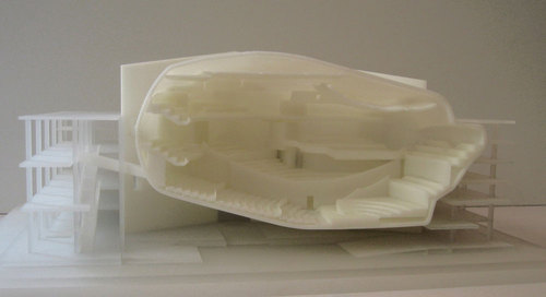016_modello-2_large