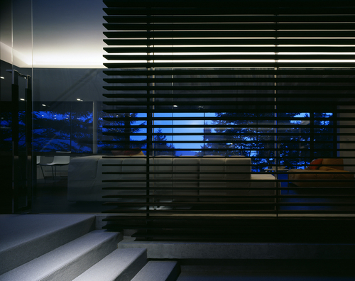 009_large