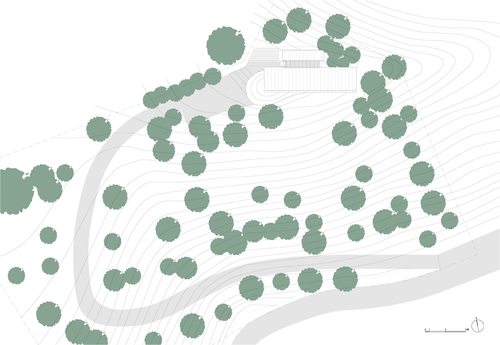 S_site_plan_large