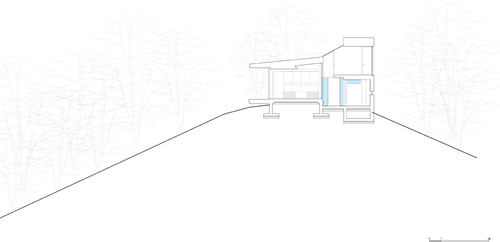 S_s_n_section_large