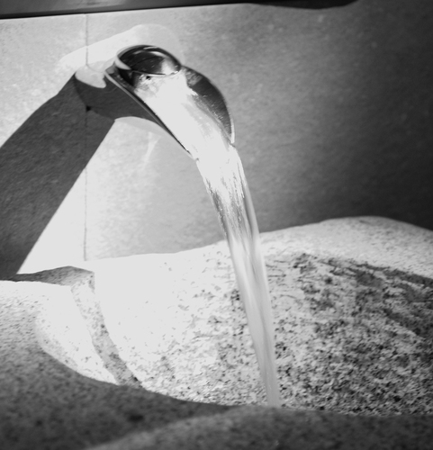 Vista_10_large